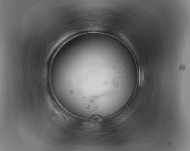 X0000111950435200907271440