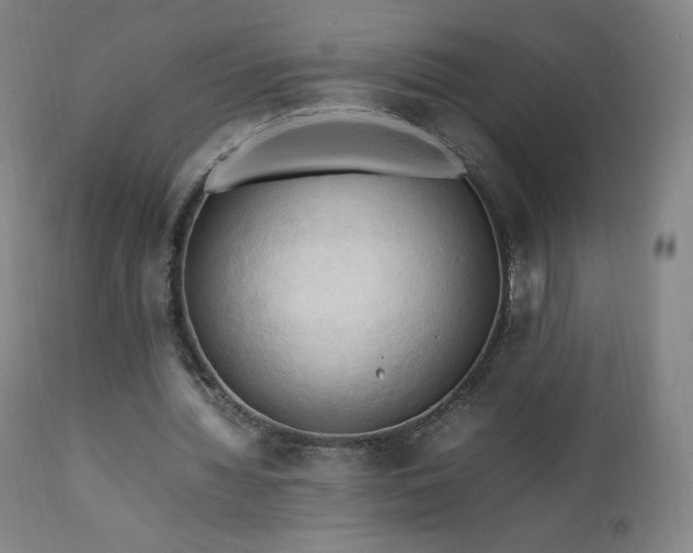 X0000111950436200907271440