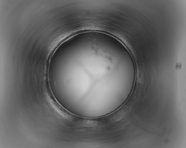 X0000111950437200907271440