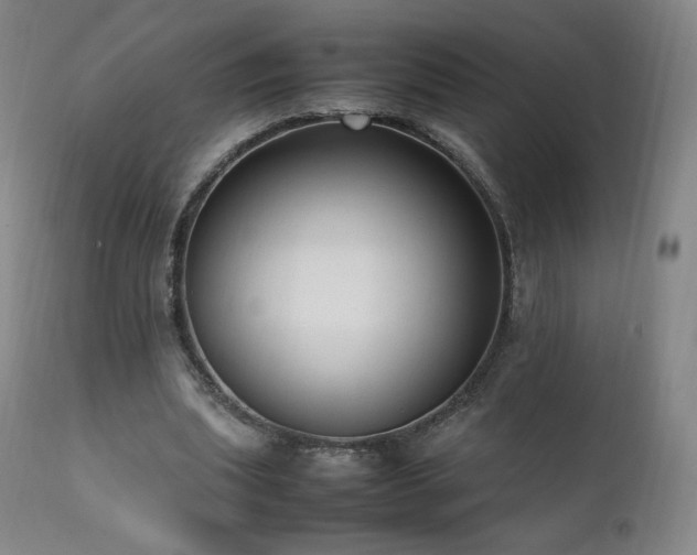 X0000111950439200907271440