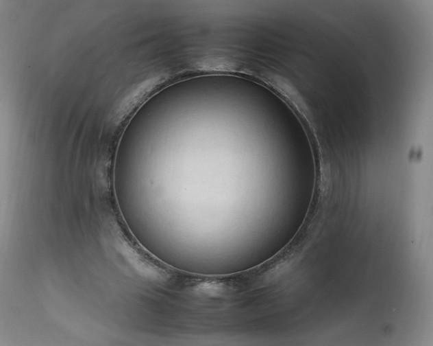 X0000111950441200907271440