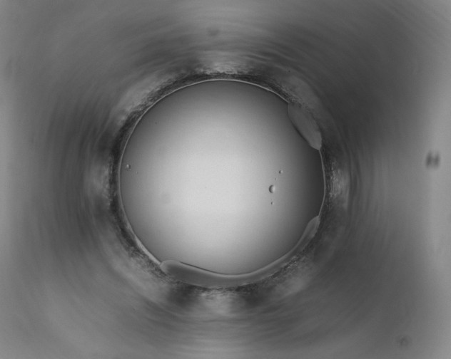 X0000111950444200907271440