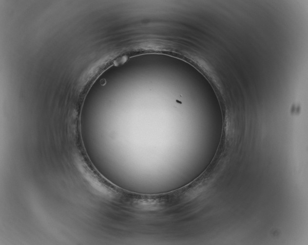 X0000111950445200907271440