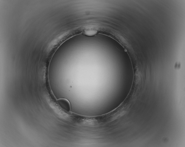 X0000111950446200907271440
