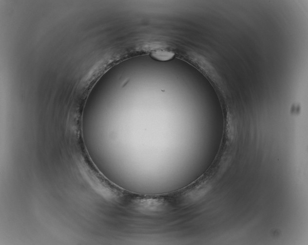 X0000111950449200907271441