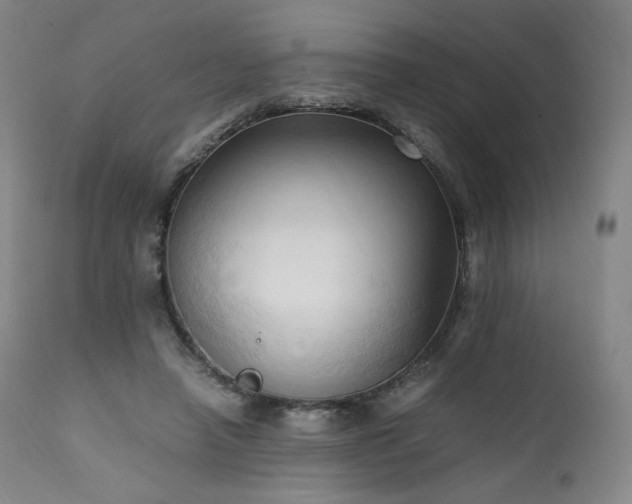 X0000111950450200907271441
