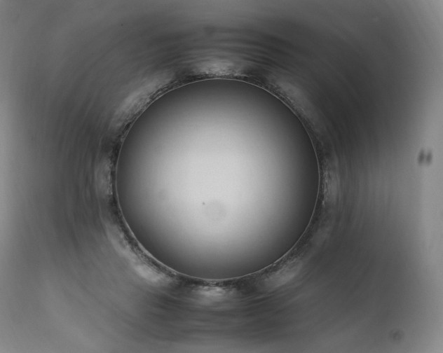 X0000111950453200907271441