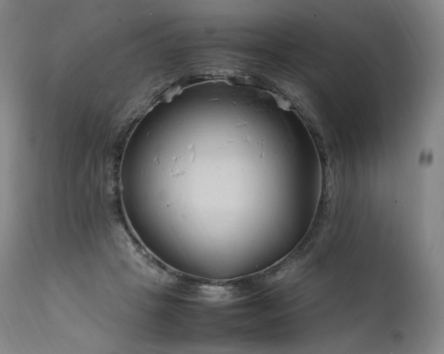 X0000111950457200907271441