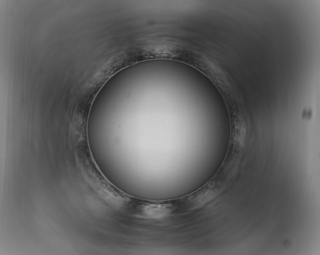X0000111950465200907271441