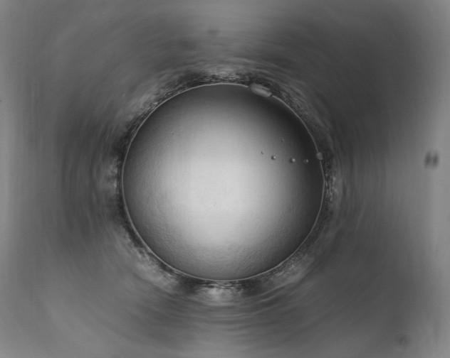 X0000111950466200907271441