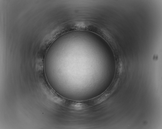 X0000111950467200907271441
