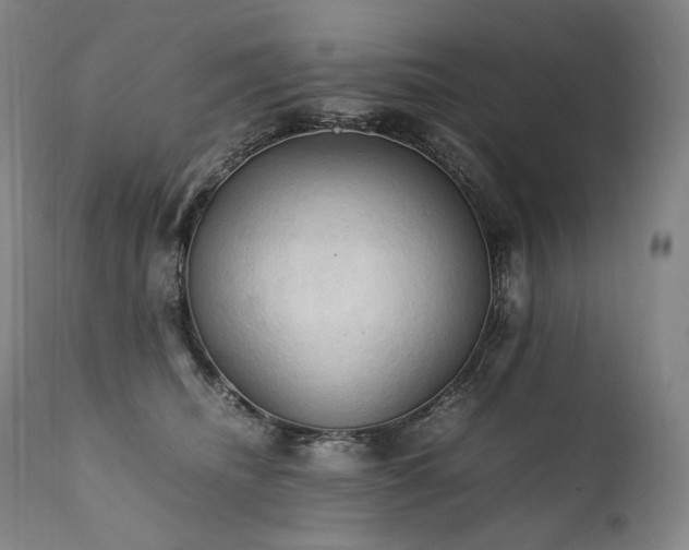 X0000111950468200907271441