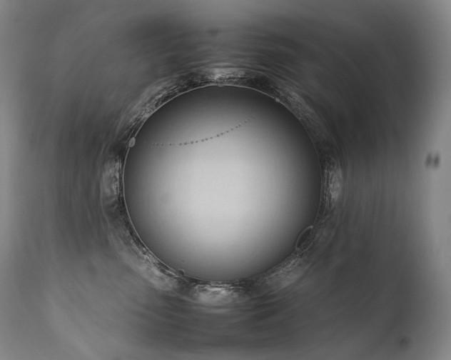 X0000111950475200907271441