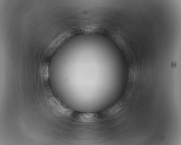 X0000111950479200907271441