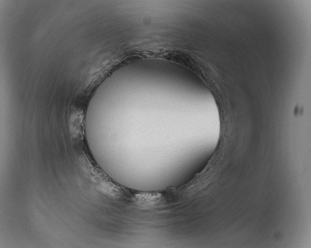 X0000111950480200907271441