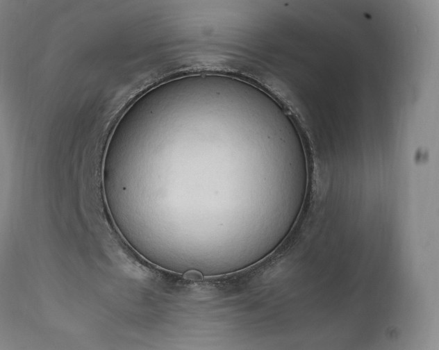 X0000111950481200907271440