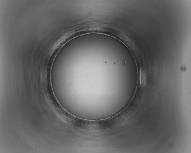 X0000111950483200907271440