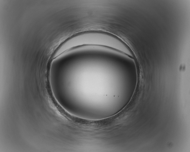 X0000111950485200907271440