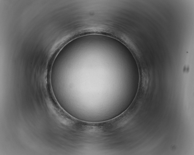 X0000111950486200907271440
