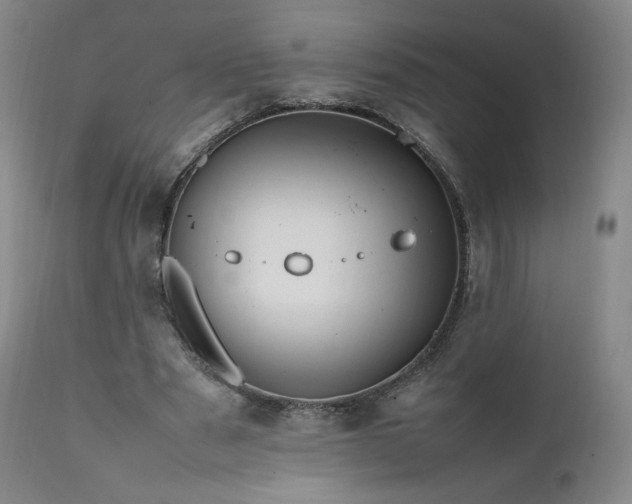 X0000111950489200907271440