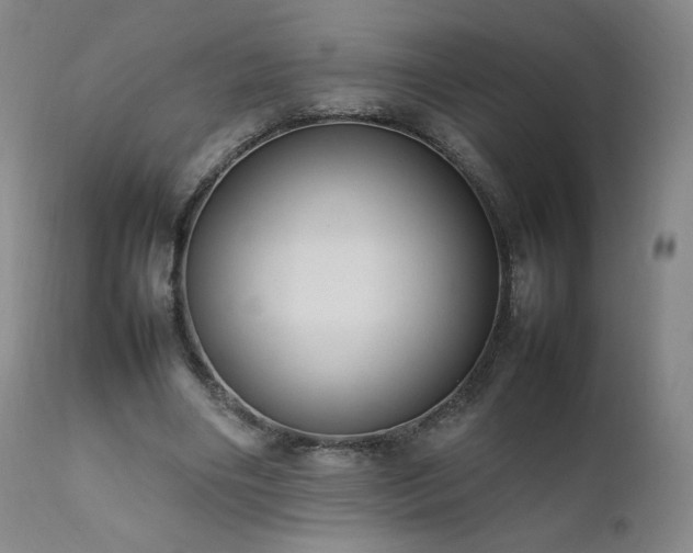 X0000111950490200907271440