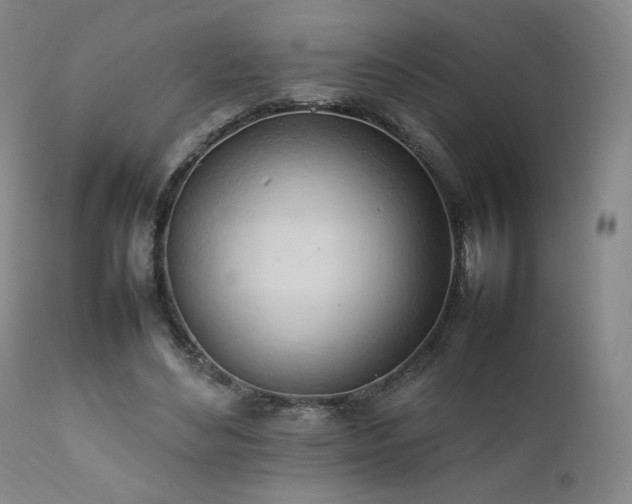 X0000111950492200907271440