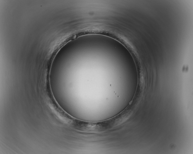X0000111950493200907271440