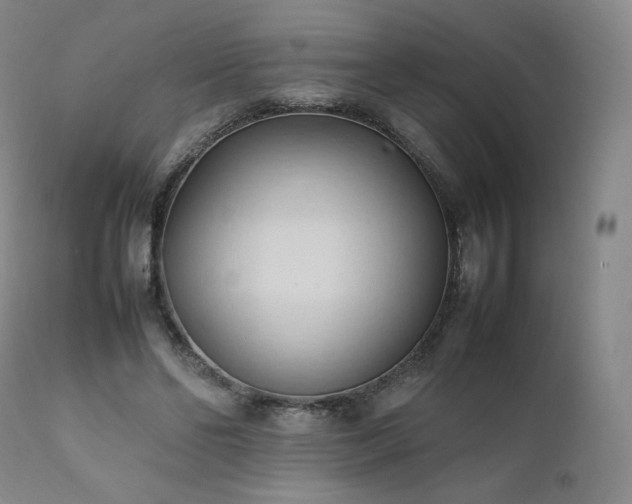 X0000111950494200907271440