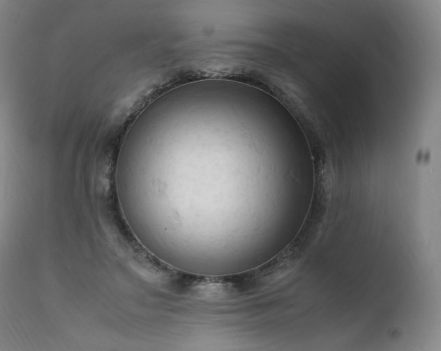 X0000111950499200907271440
