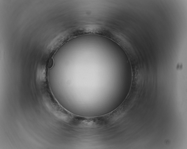 X0000111950502200907271440