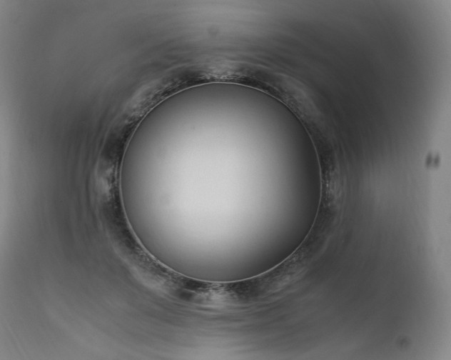 X0000111950503200907271440