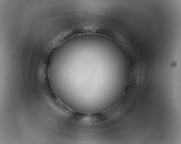 X0000111950504200907271440