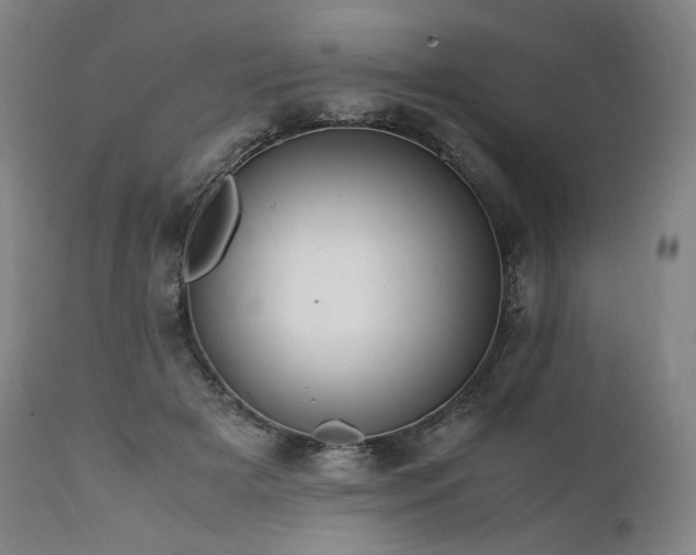 X0000111950505200907271440