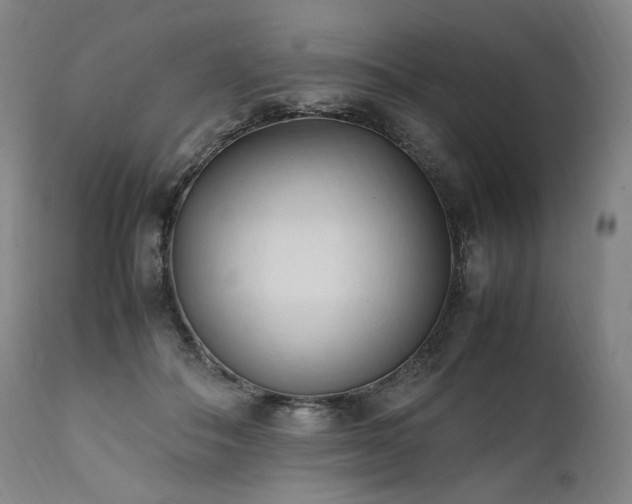 X0000111950506200907271440