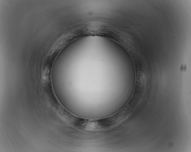 X0000111950507200907271440