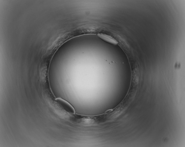 X0000111950509200907271440
