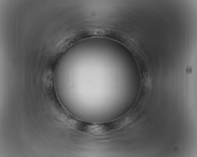 X0000111950511200907271440