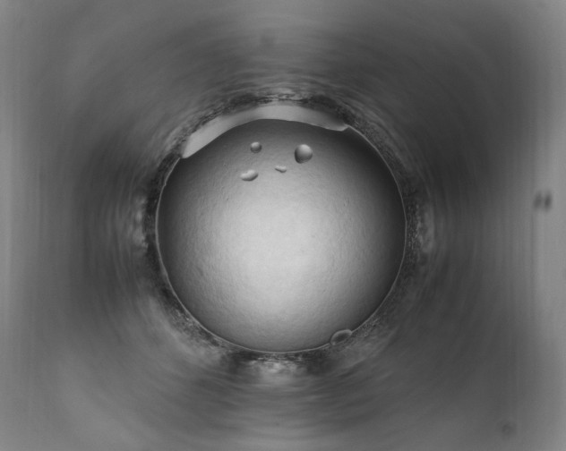 X0000111950512200907271440
