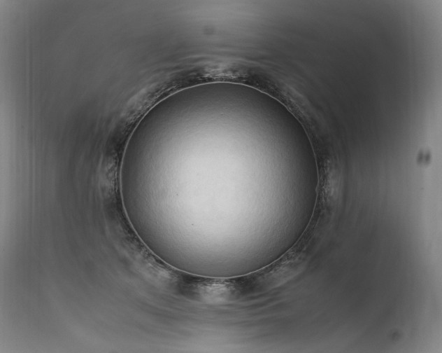 X0000111950513200907271440