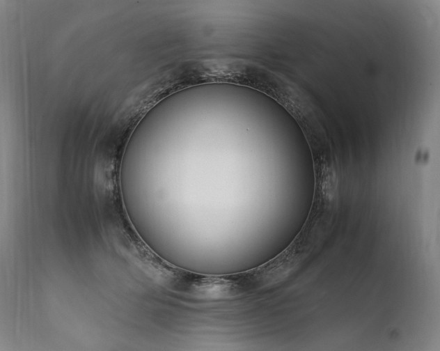 X0000111950514200907271440