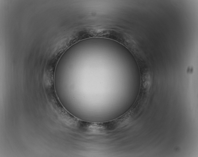 X0000111950515200907271440