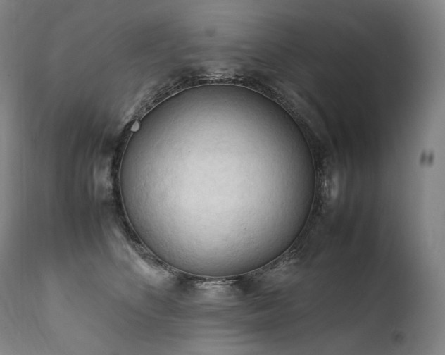 X0000111950516200907271440