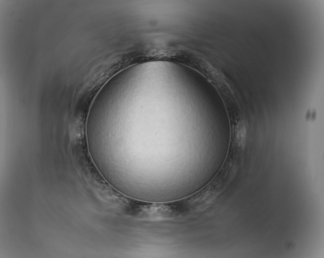 X0000111950517200907271440