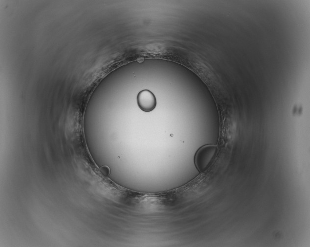 X0000111950518200907271440