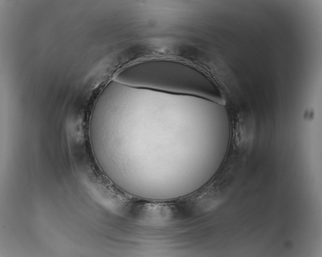 X0000111950520200907271440