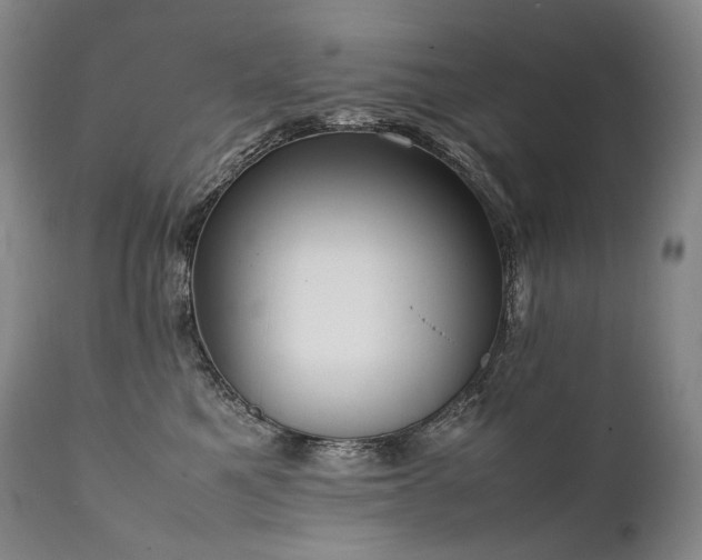 X0000111950521200907271440
