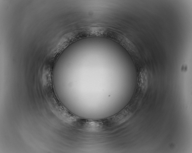 X0000111950522200907271440