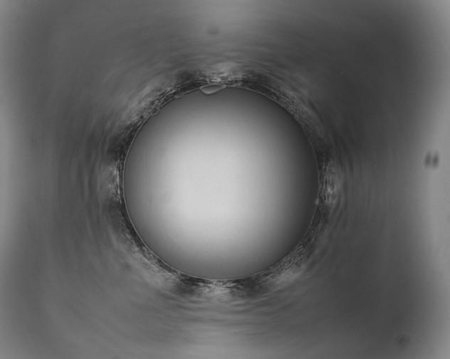 X0000111950523200907271440