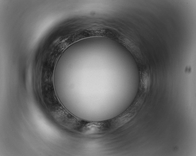X0000111950526200907271440