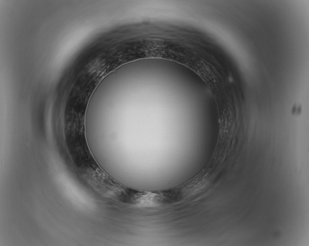 X0000111950527200907271439